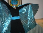 Fasching11