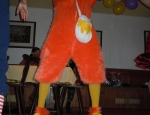 Fasching23