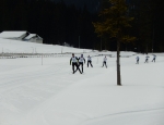 Biathlonklein014.jpg