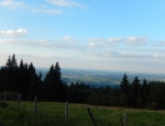 Buronklein013