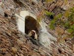 Sudtirolklein024