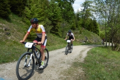 bikewalkklein014