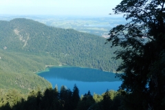 saeuklein008
