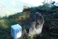 saeuklein018