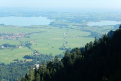 saeuklein026