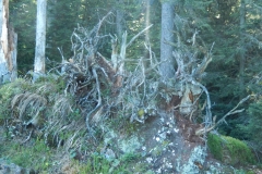 saeuklein027