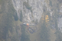 rohrkopfklein014