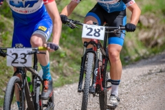svp_2019_06