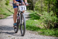 svp_2019_08