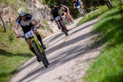 svp_2019_11