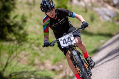 svp_2019_14