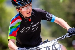 svp_2019_15