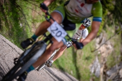 svp_2019_29