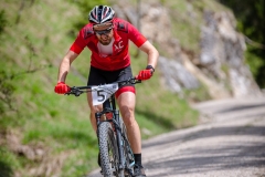 svp_2019_33