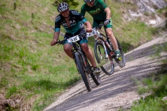 svp_2019_35