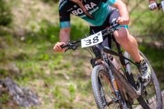 svp_2019_36