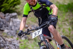 svp_2019_41