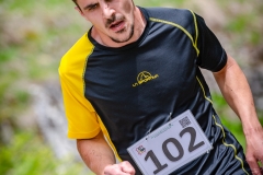 svp_2019_52