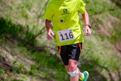 svp_2019_60