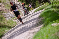 svp_2019_64