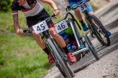 svp_2019_66
