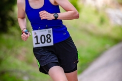 svp_2019_74