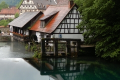 schwabklein034