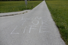 liferun000