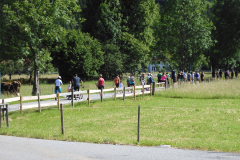 walking009