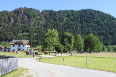 walking010